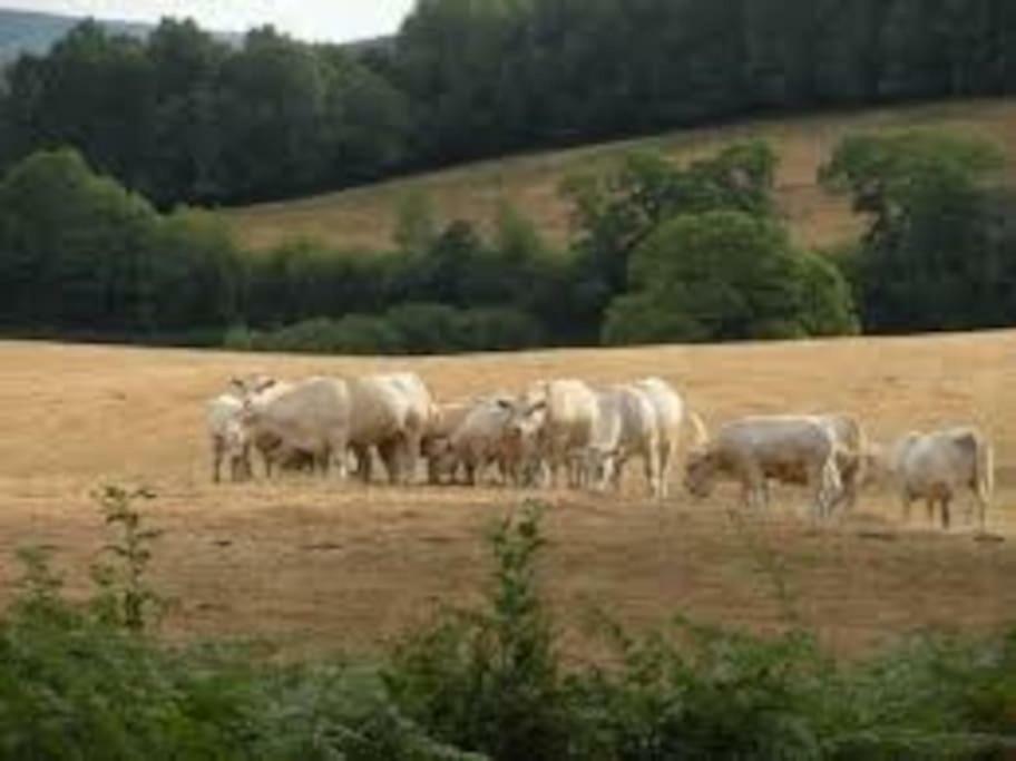 La Ferme Des Pierrettes Villa Menneville ภายนอก รูปภาพ
