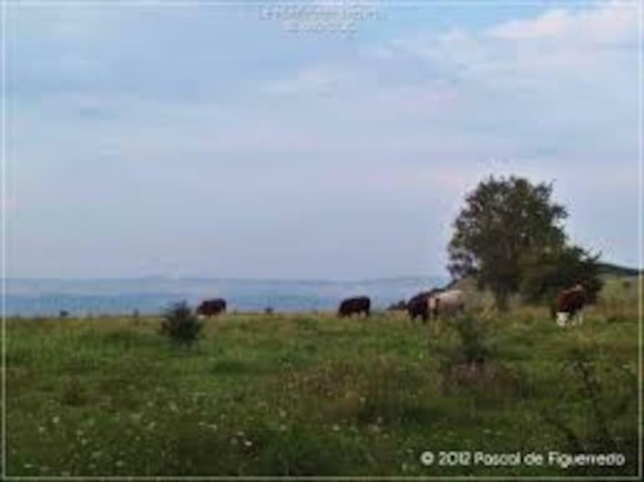 La Ferme Des Pierrettes Villa Menneville ภายนอก รูปภาพ