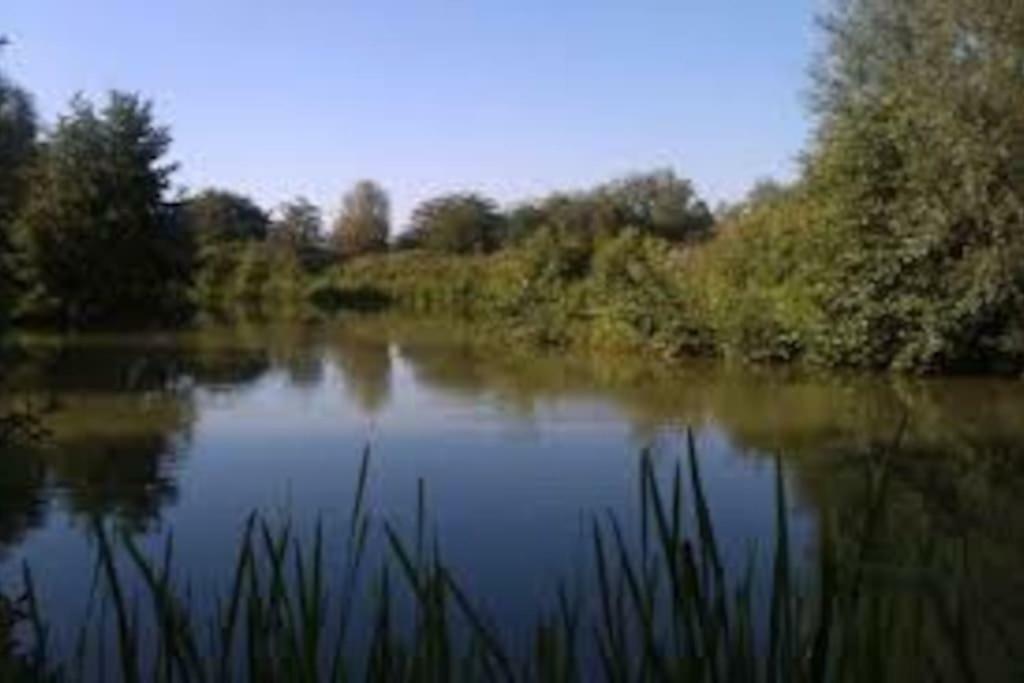 La Ferme Des Pierrettes Villa Menneville ภายนอก รูปภาพ